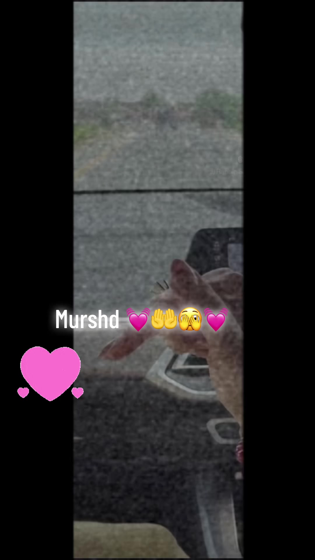 @MiSheLlNl3uTt🦁pmlnofficial🦁