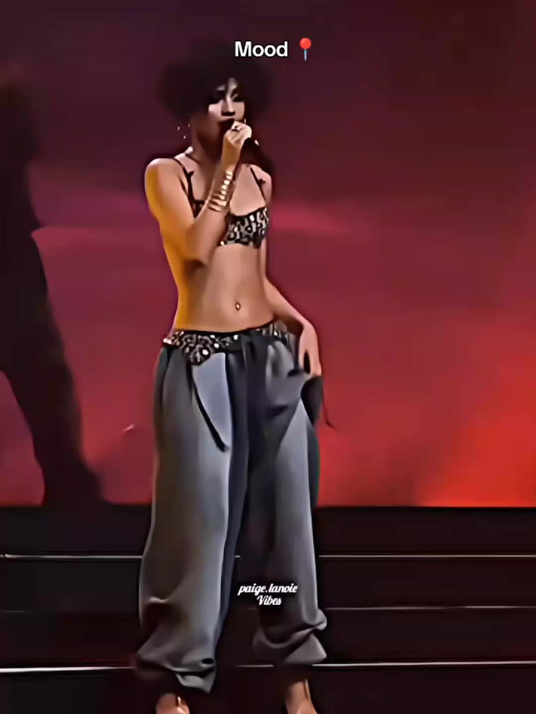 @paigelanoievibes