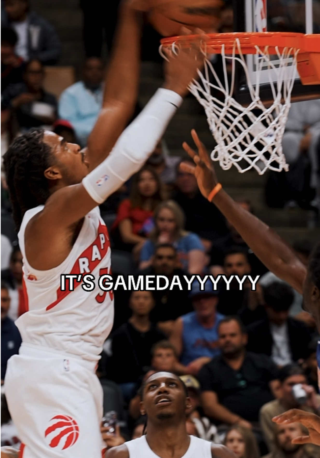 @Raptors