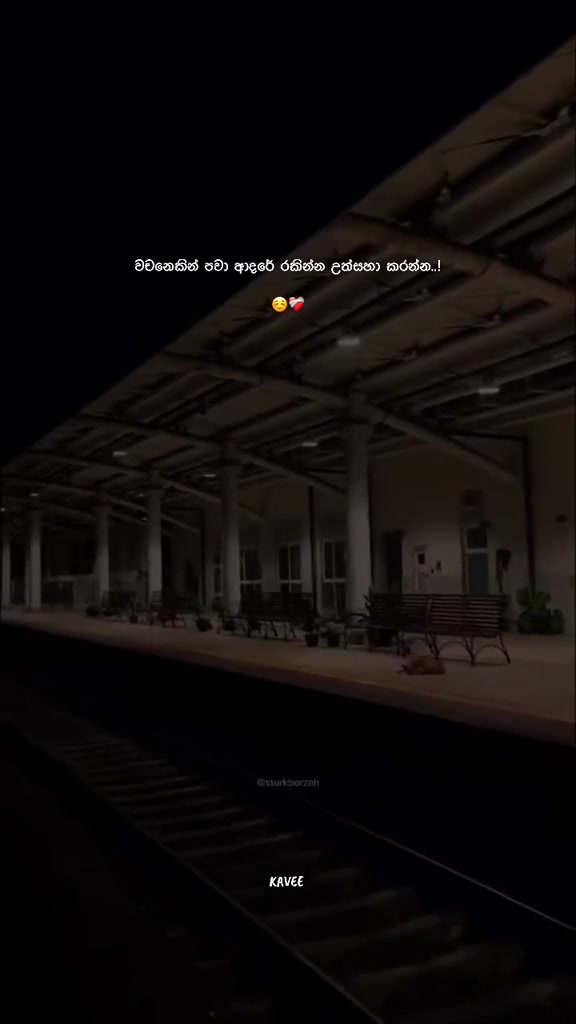@𝑲 𝑨 𝑽 𝑬 𝑬 🪼