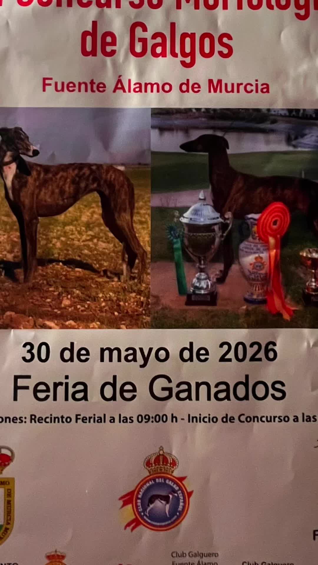 @El_Pencho_Cinegeticas