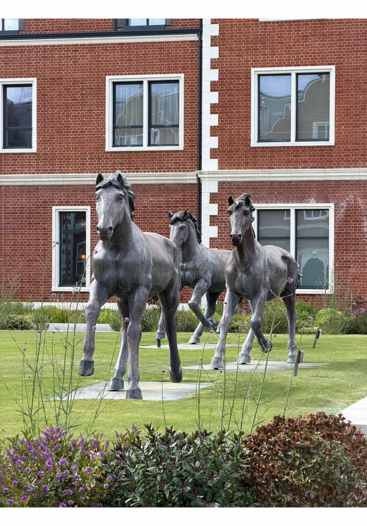@Kamal Sarai
