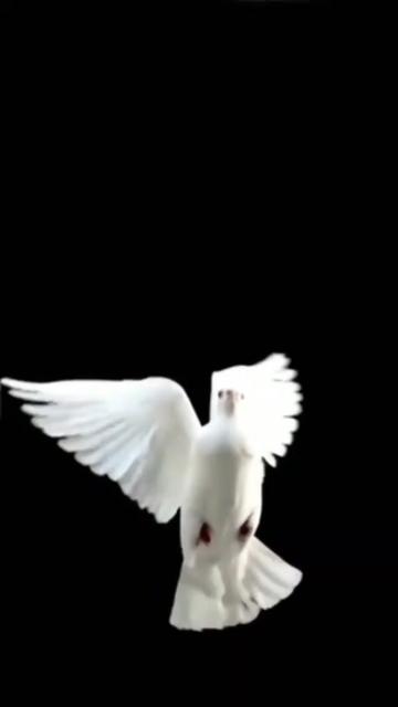 @Irfan❤️❤️👍👍💖💖🇵🇰333