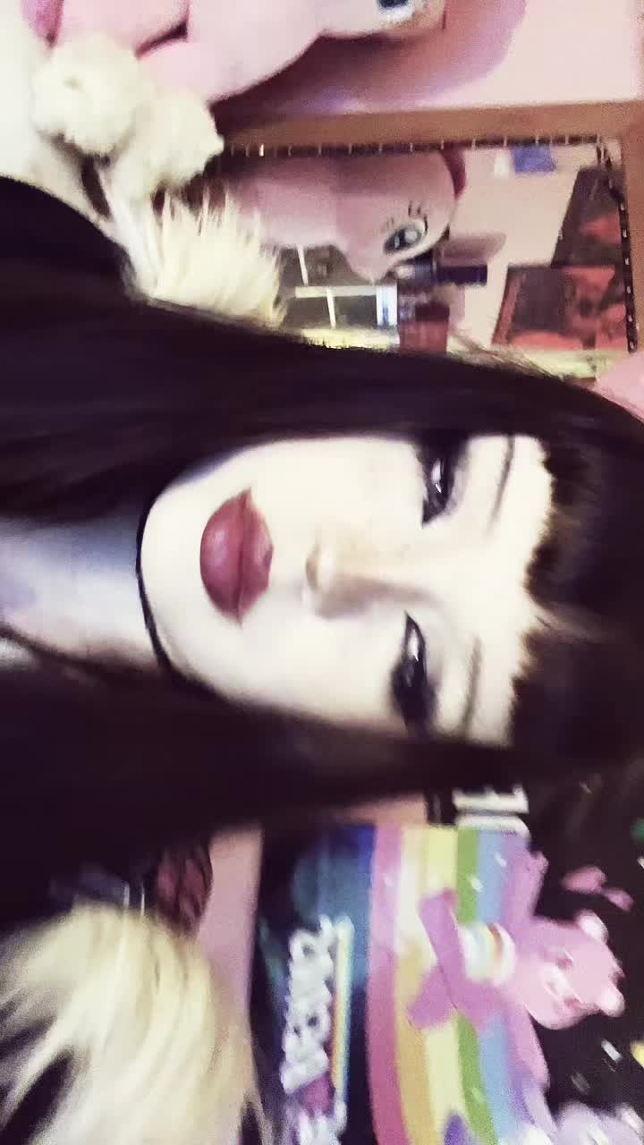 @≽^• ˕ • ྀི≼🌀🦋📸🍃