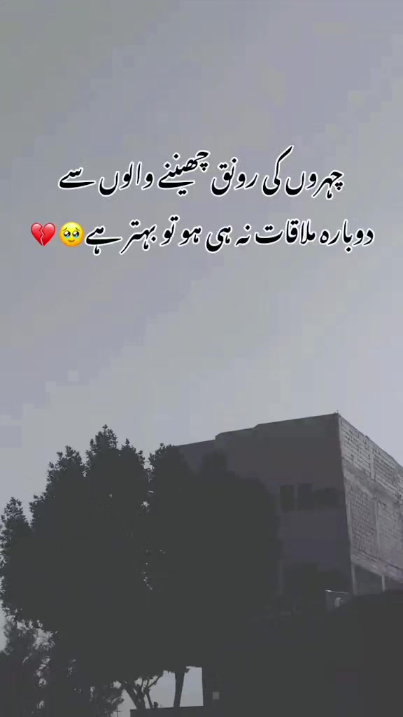 @❤️پیارے شیری✨❤️