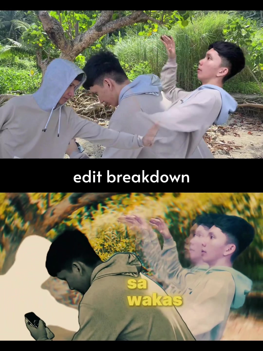 @Leo Visual