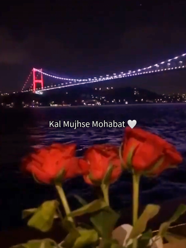 @𝗦𝗼𝘂𝗹𝗳𝘂𝗹 𝗖𝗹𝗶𝗽𝘀 🌙