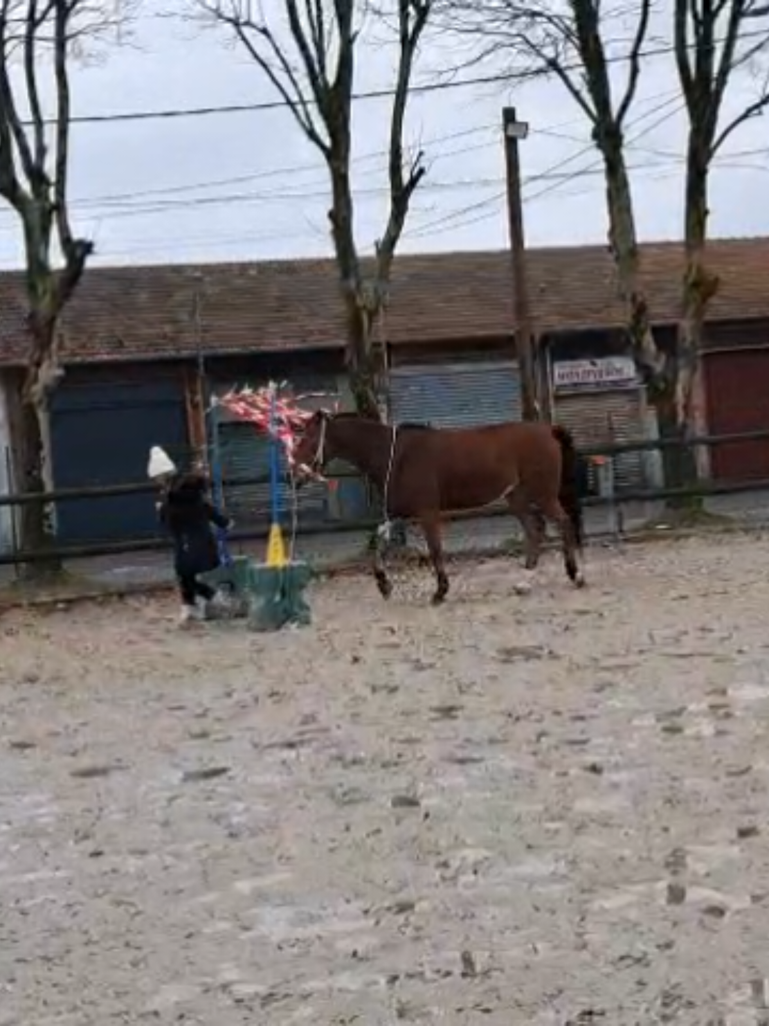 @Aurore& Alinari