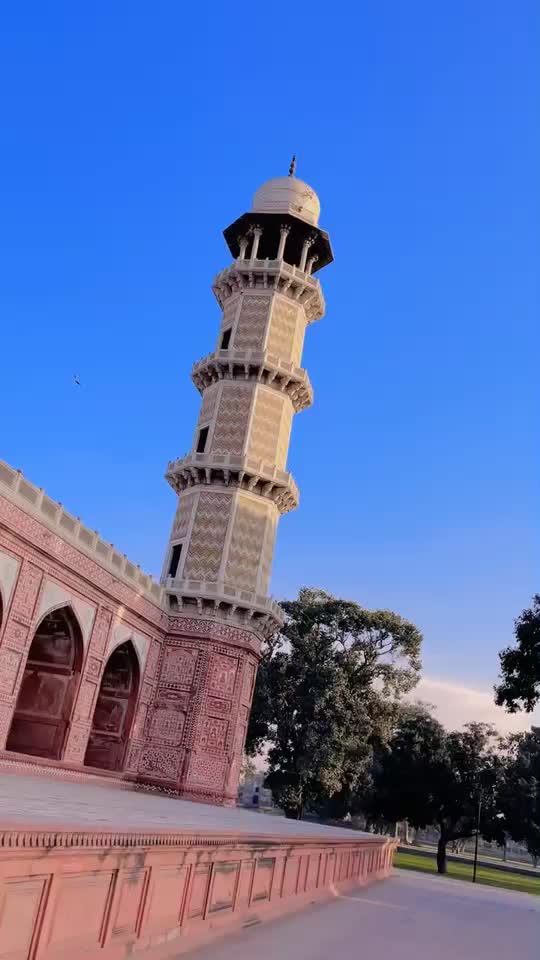 @Alihamza0001