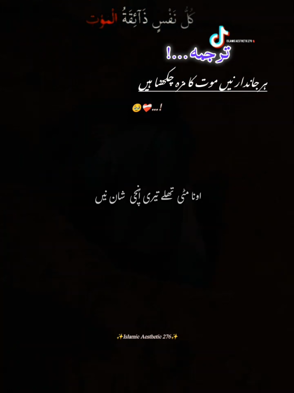 @راجه لقمان 🦅