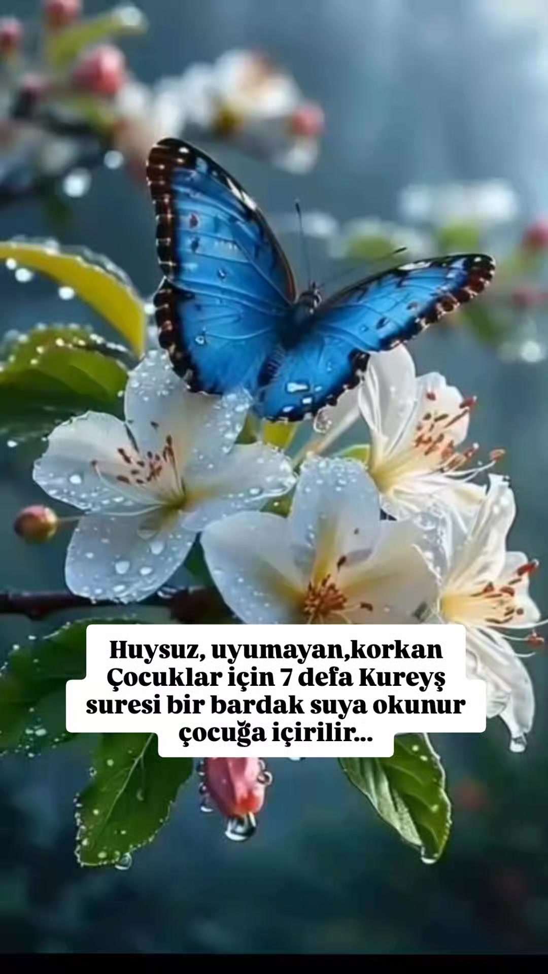 @hayat nereye gidiyor