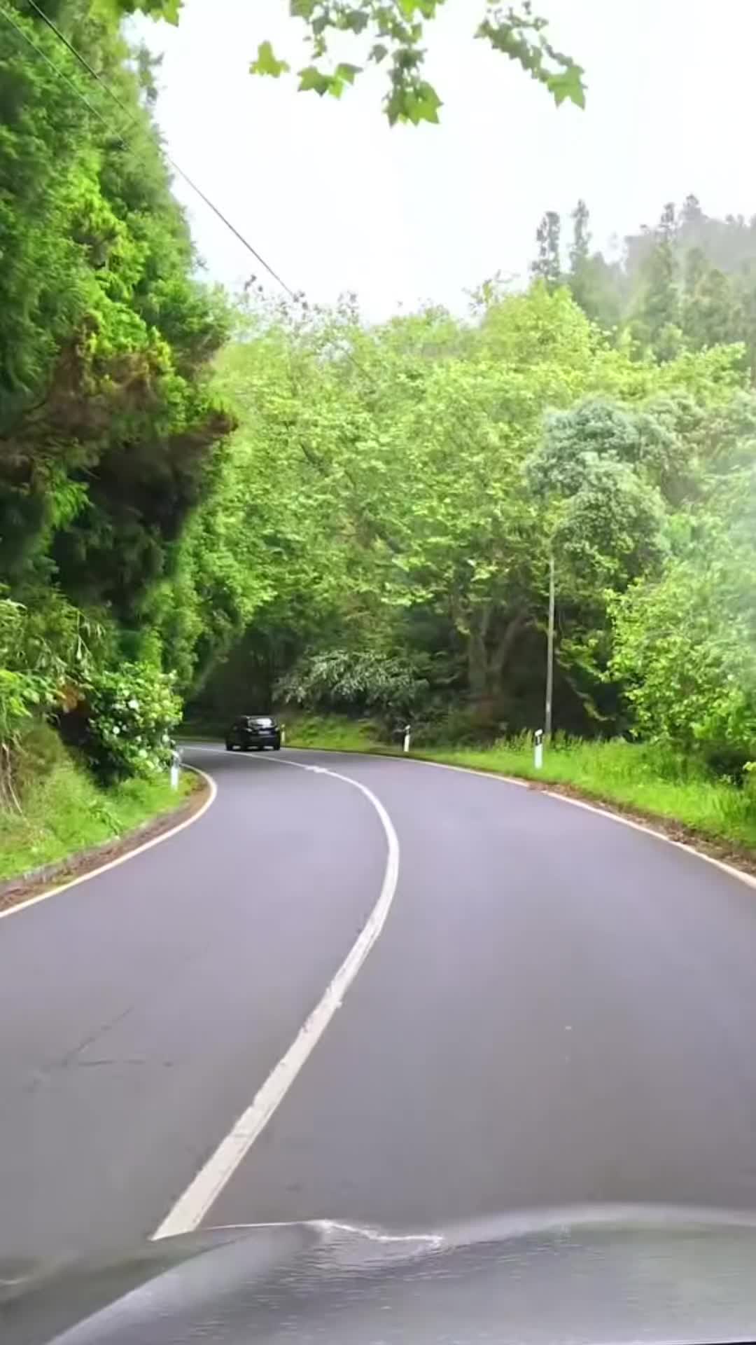 @Mountain_lover58599