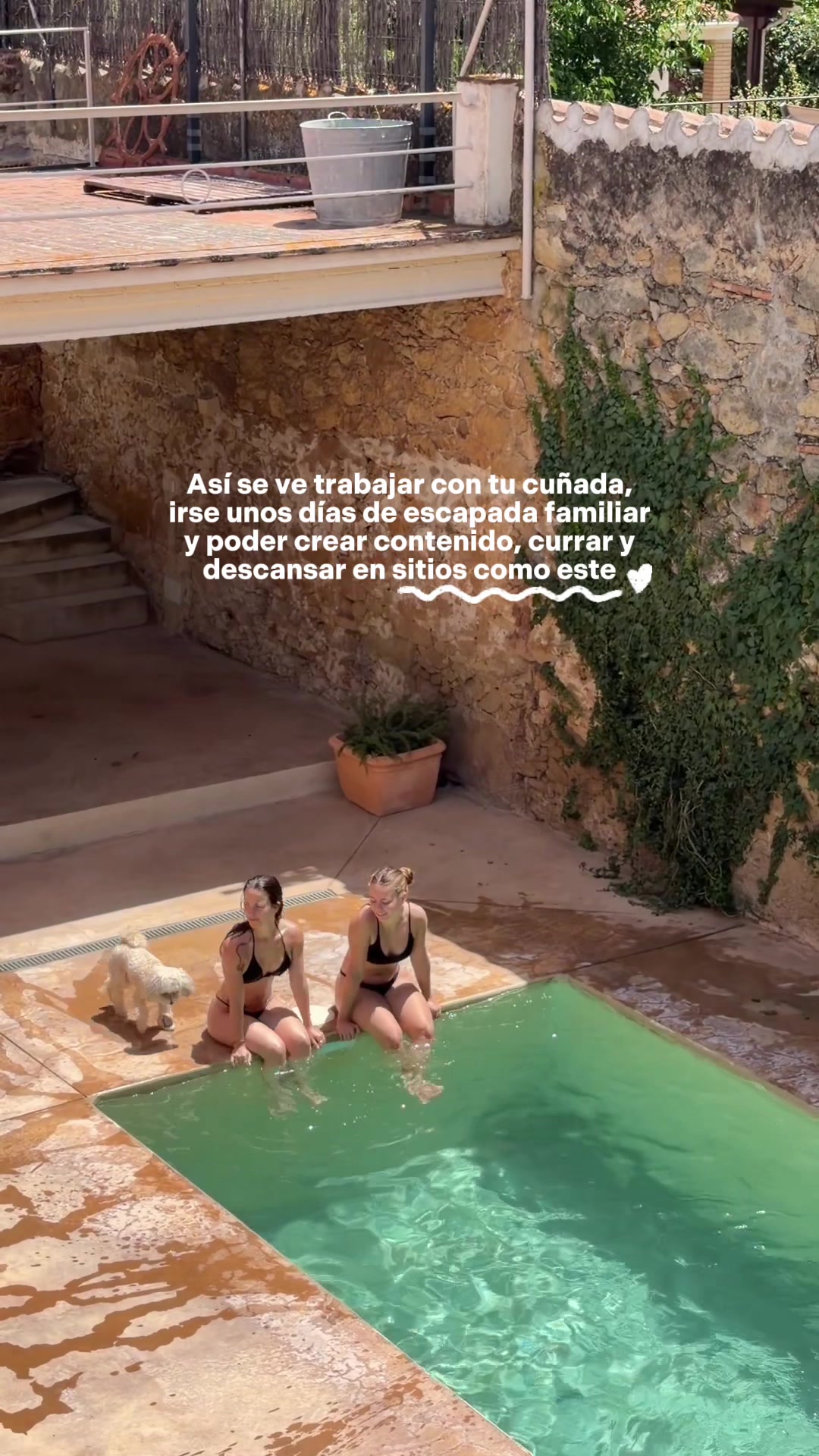@Laiartt