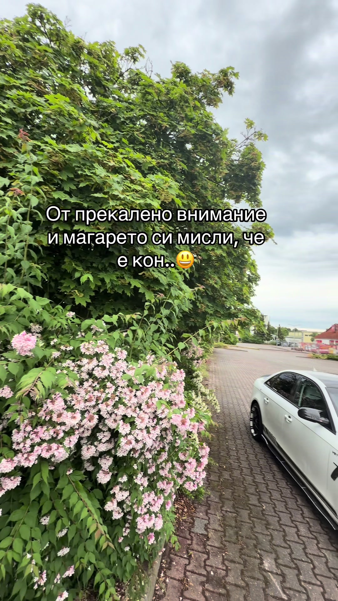 @🔱 Marian Ivanøw🪽