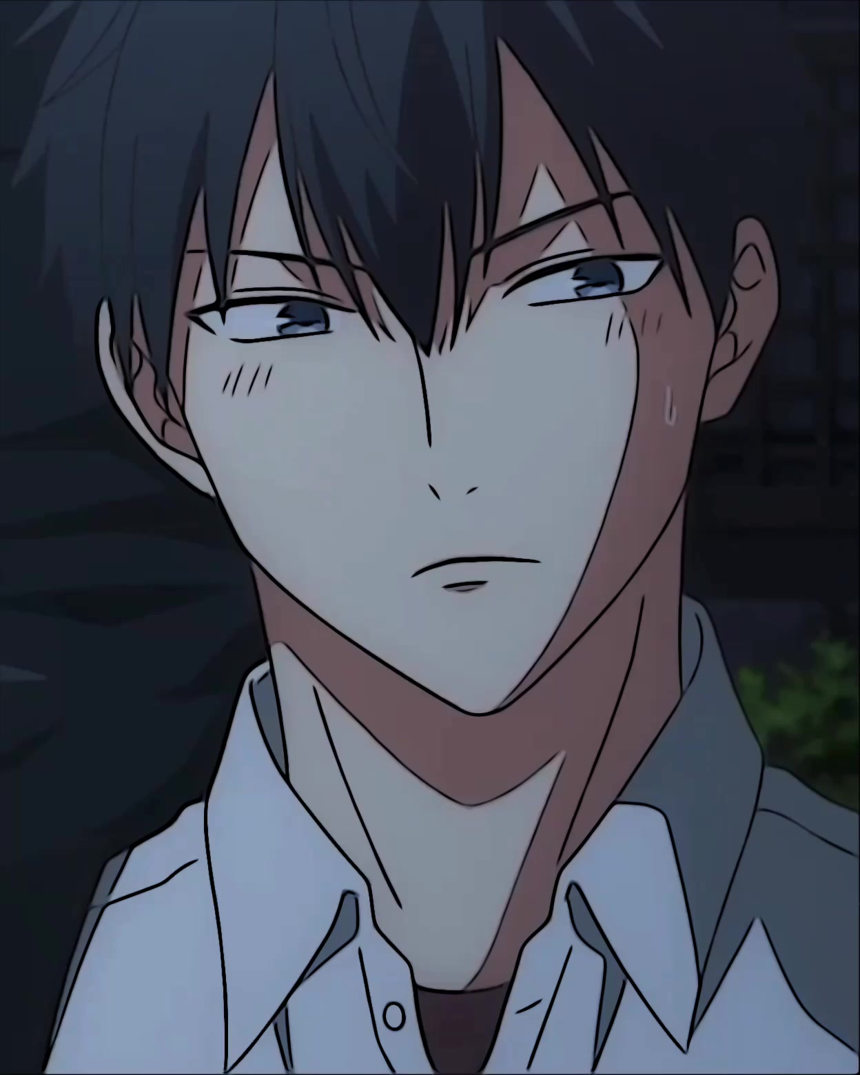 @Kamitani Hayato