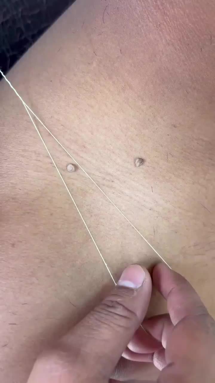 @haidebtkwik