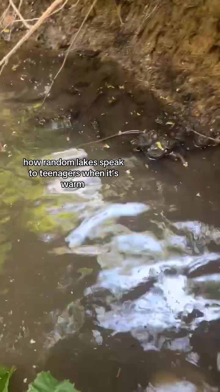 @𝑏𝑒𝑙𝑙𝑎𝑠𝑝𝑎𝑚🤍