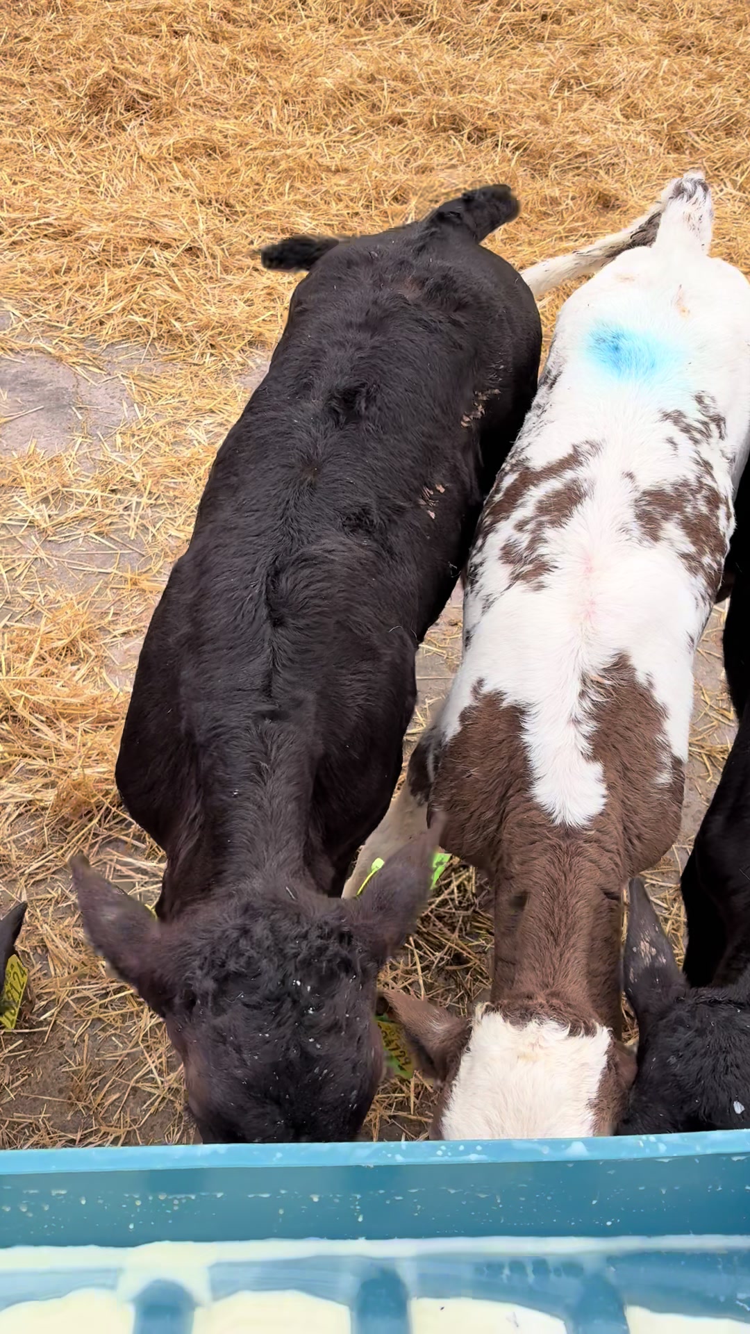 @Life On The Farm - Cheshire