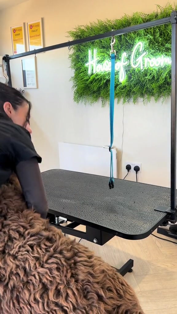 @DogGrooming101