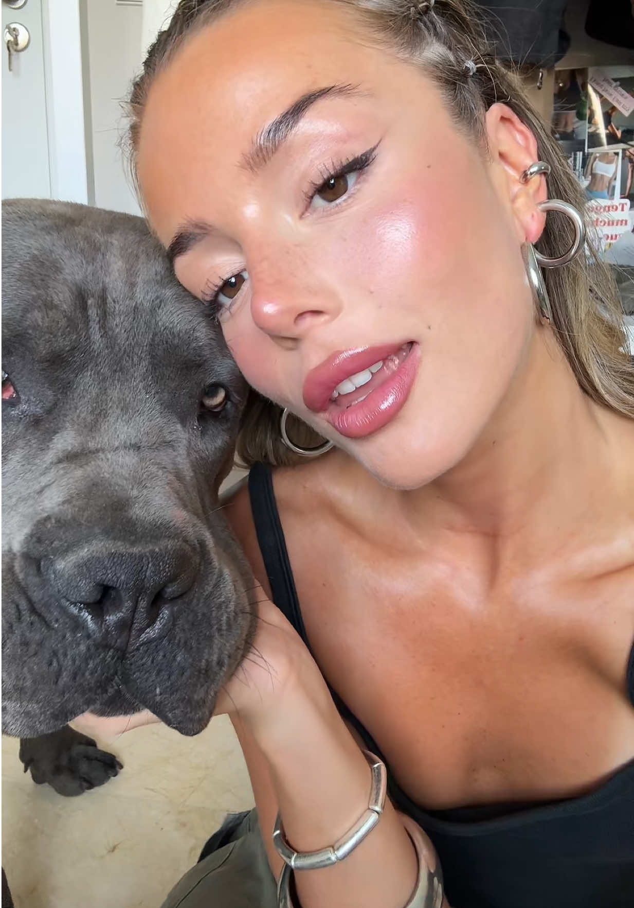 @sofilechat