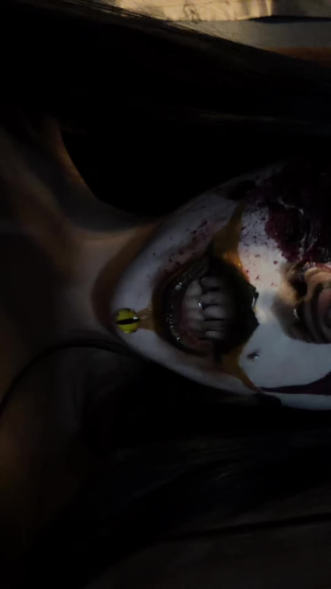 @toodles