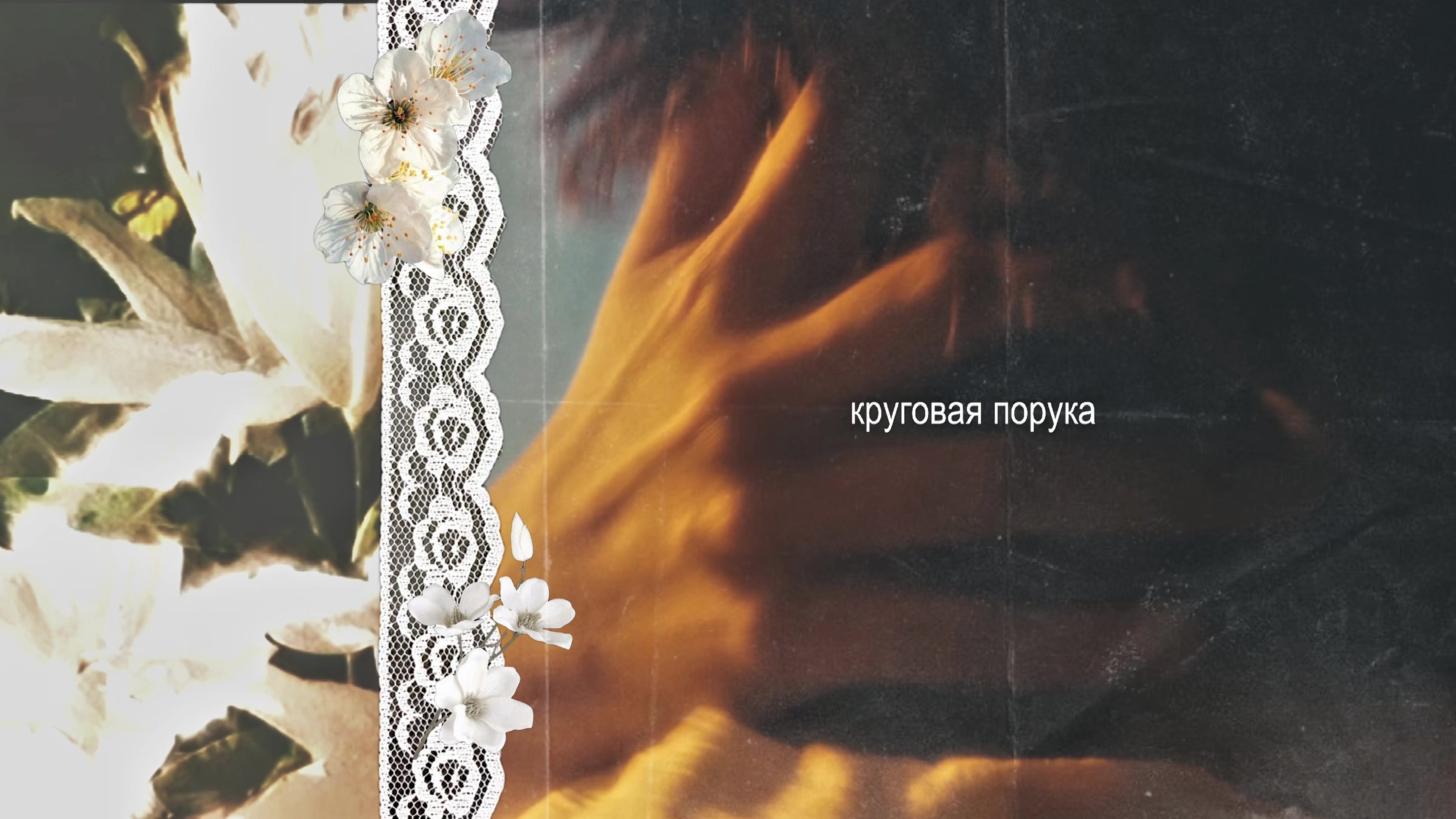 @ʍоᴦуᴩи^^