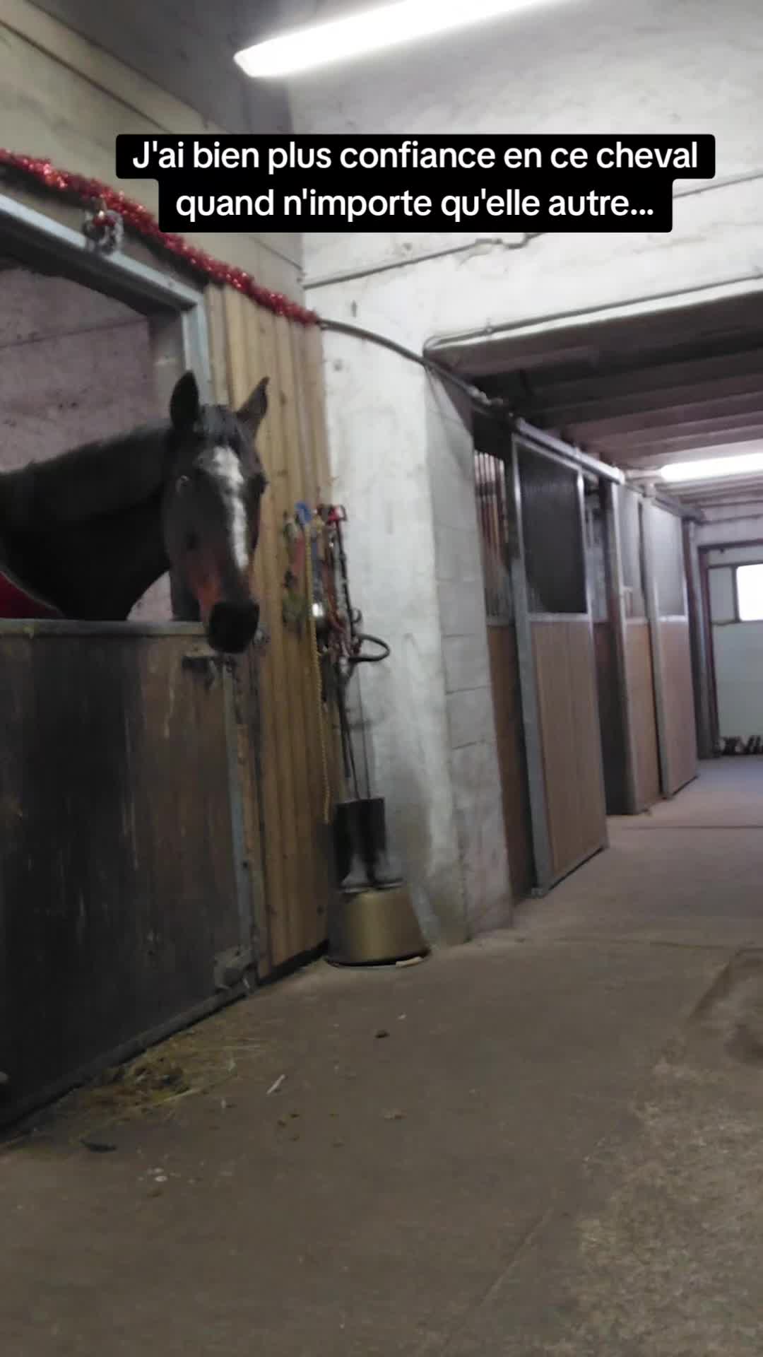 @Le Journal D'un Cheval & Cie