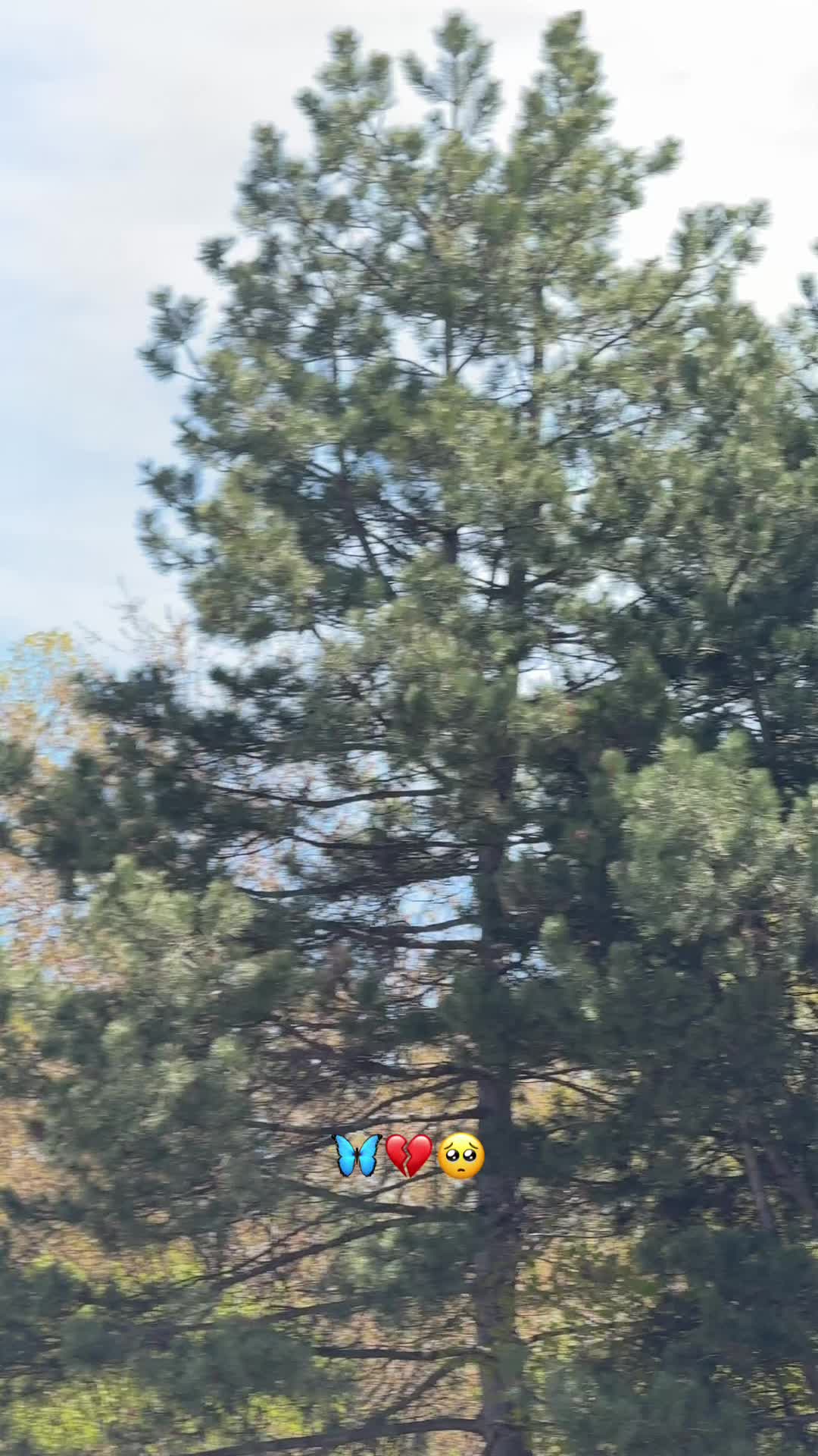 @𝐃𝐀𝐑𝐌𝐀𝐍🦋