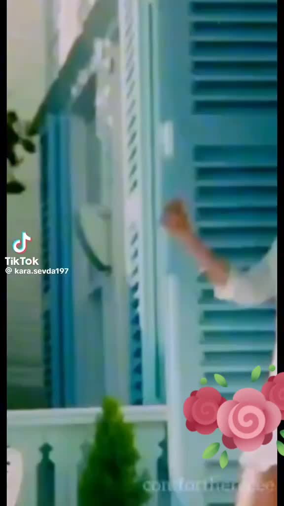@vine