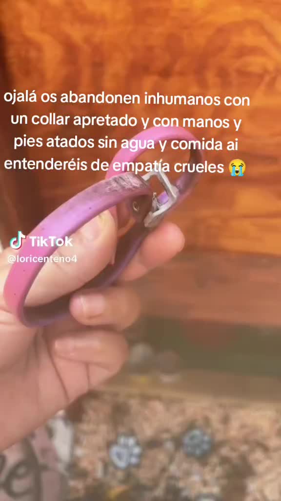 @Vero Jimenez Ferrer
