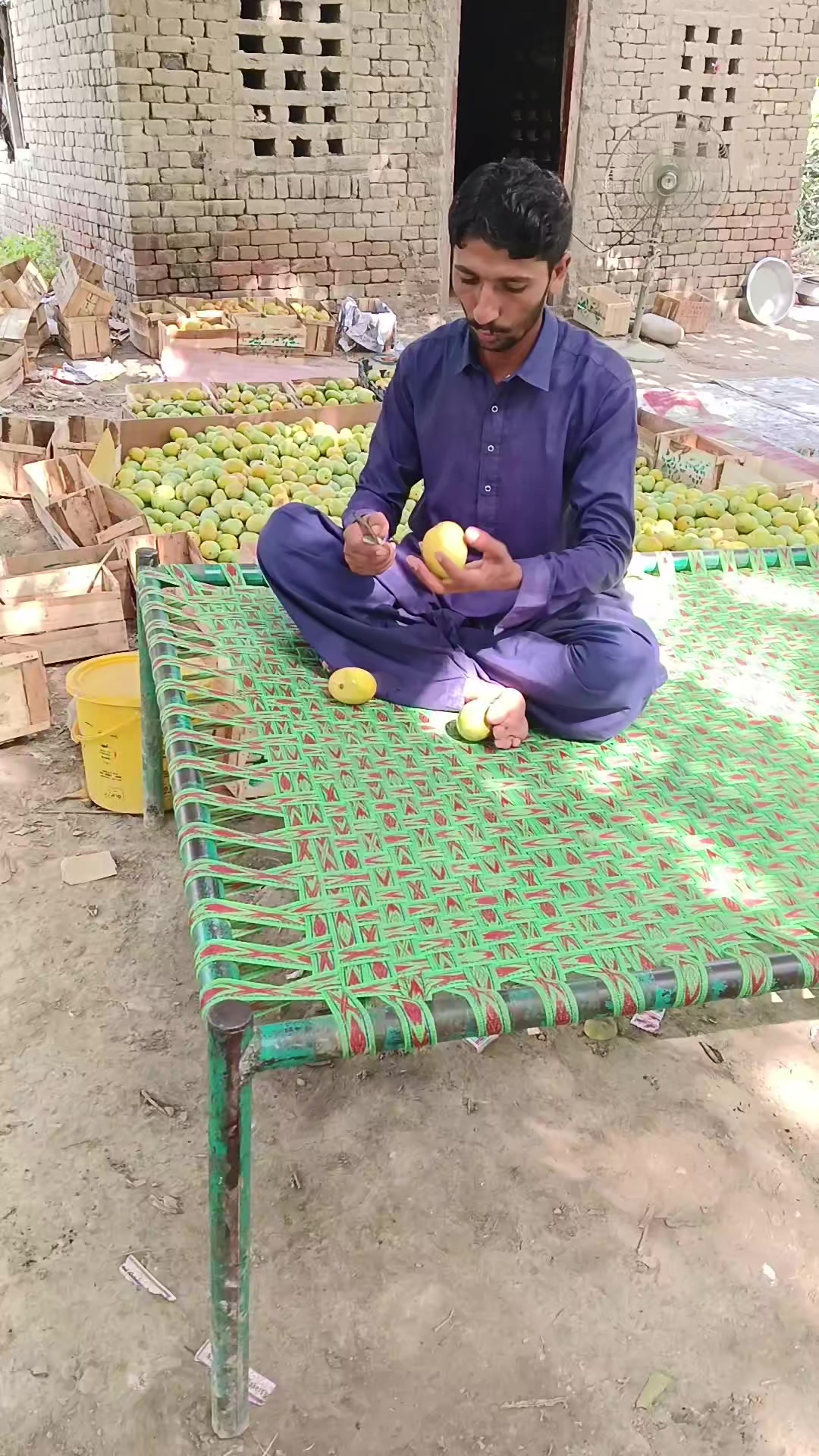 @Tanveer Leghari