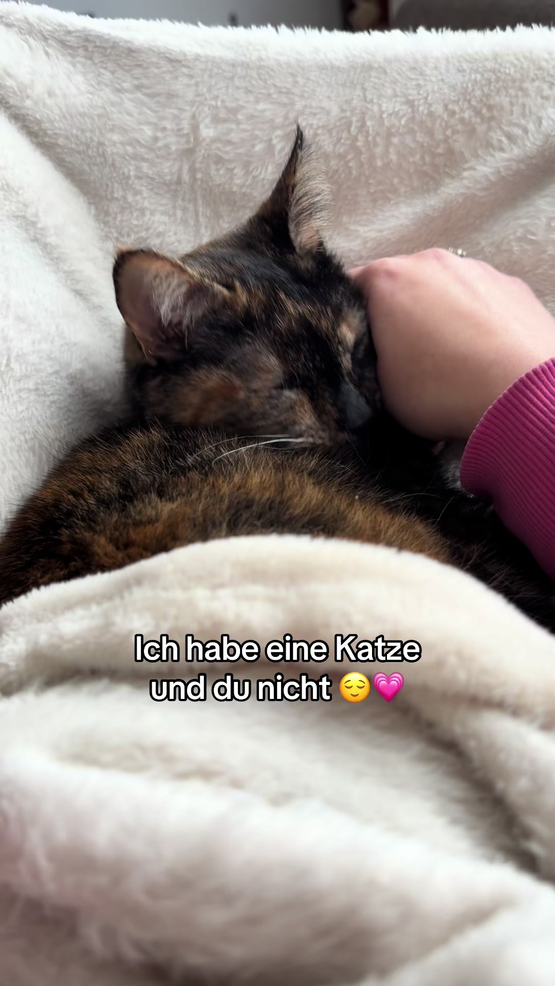 @Nala & Simba