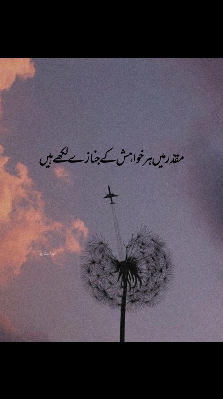 @ヅ𝘴ꪖن᭙ꪖل𝓲 سꪶꪮن𝓲 👑