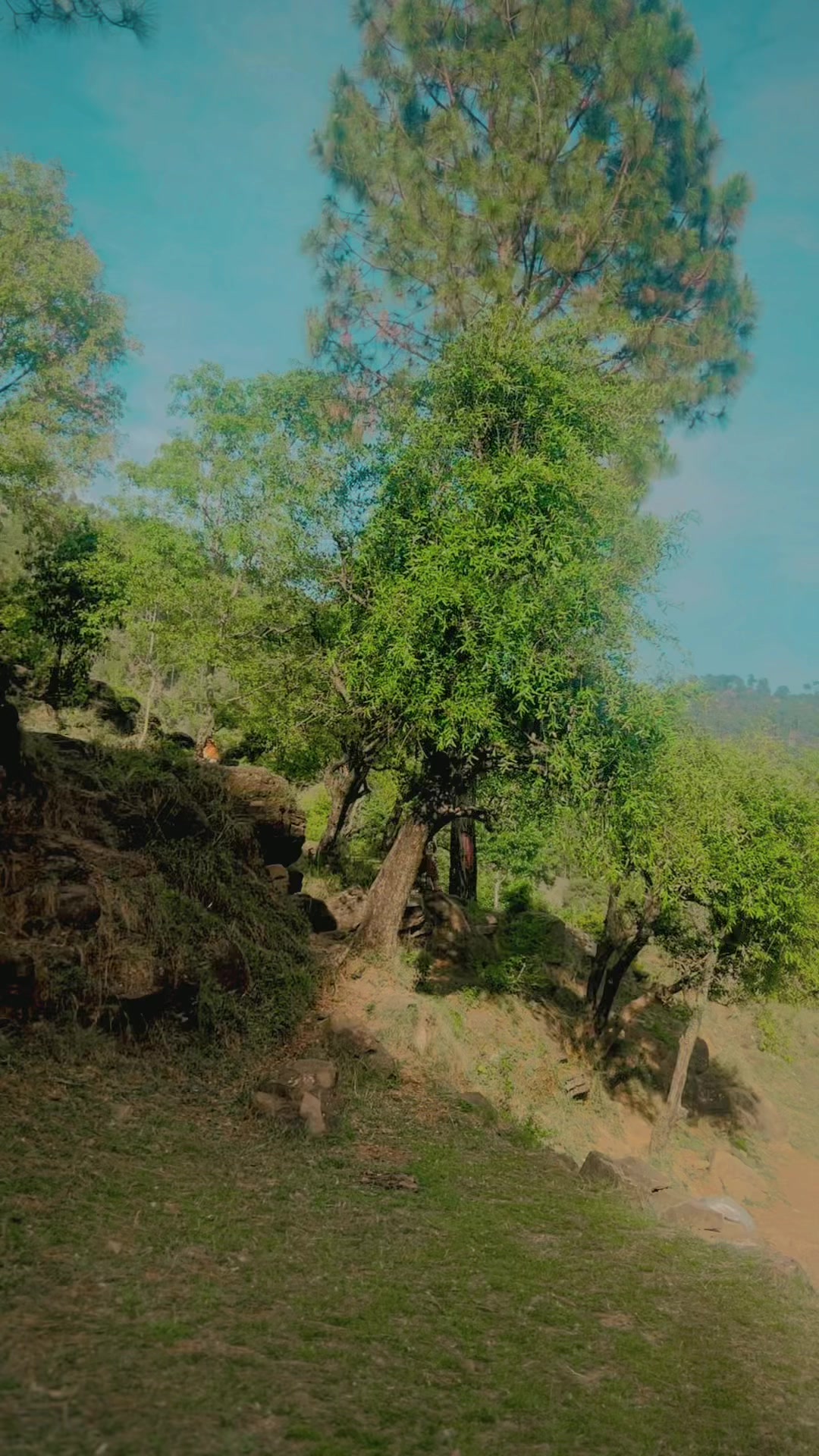 @افراز سردار