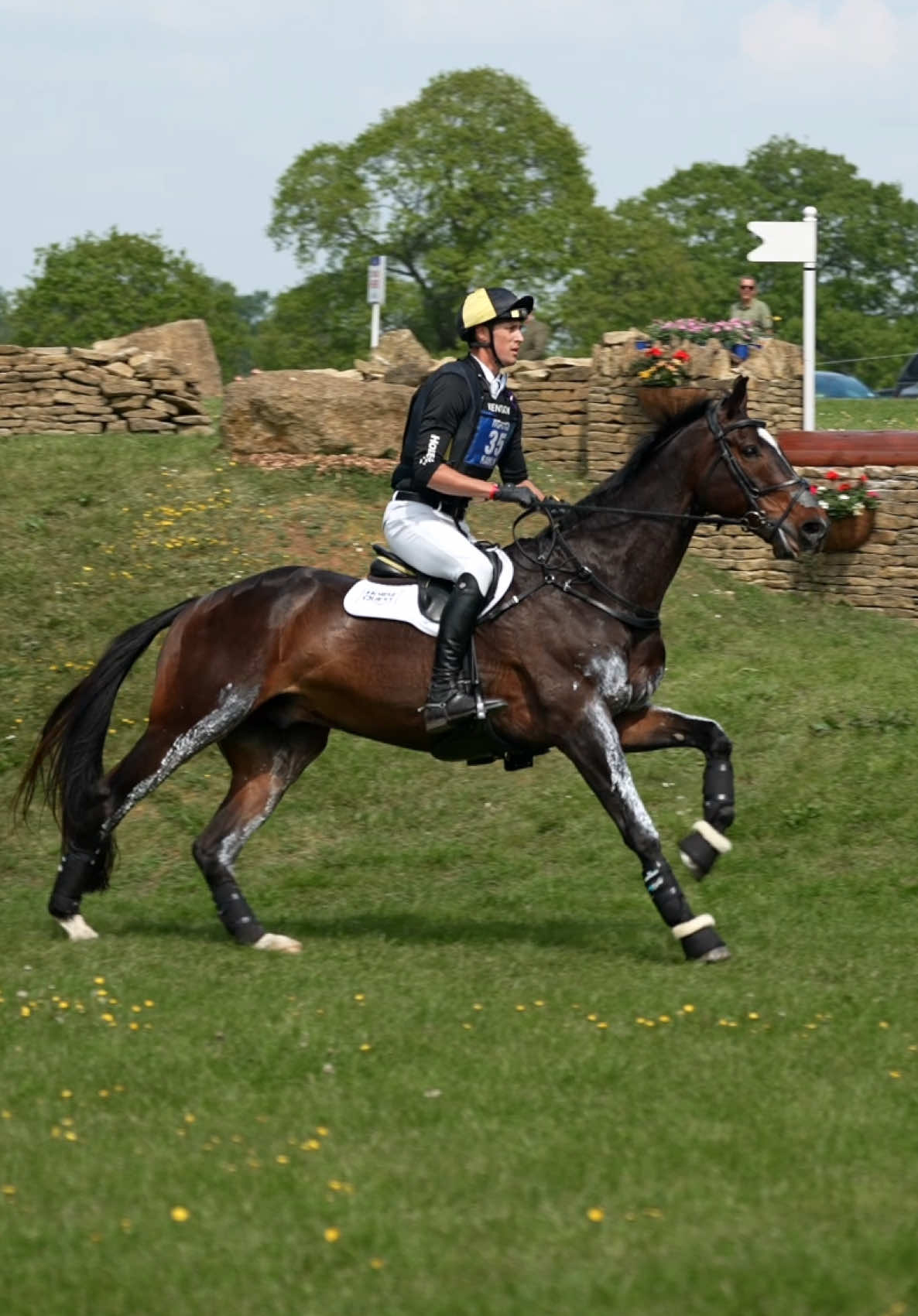 @HorseQuest - Horses for Sale