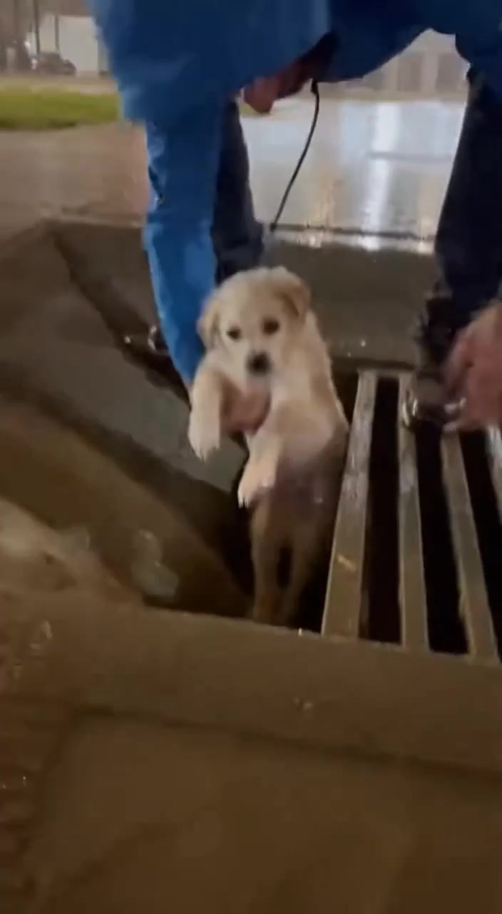 @animalslife2026
