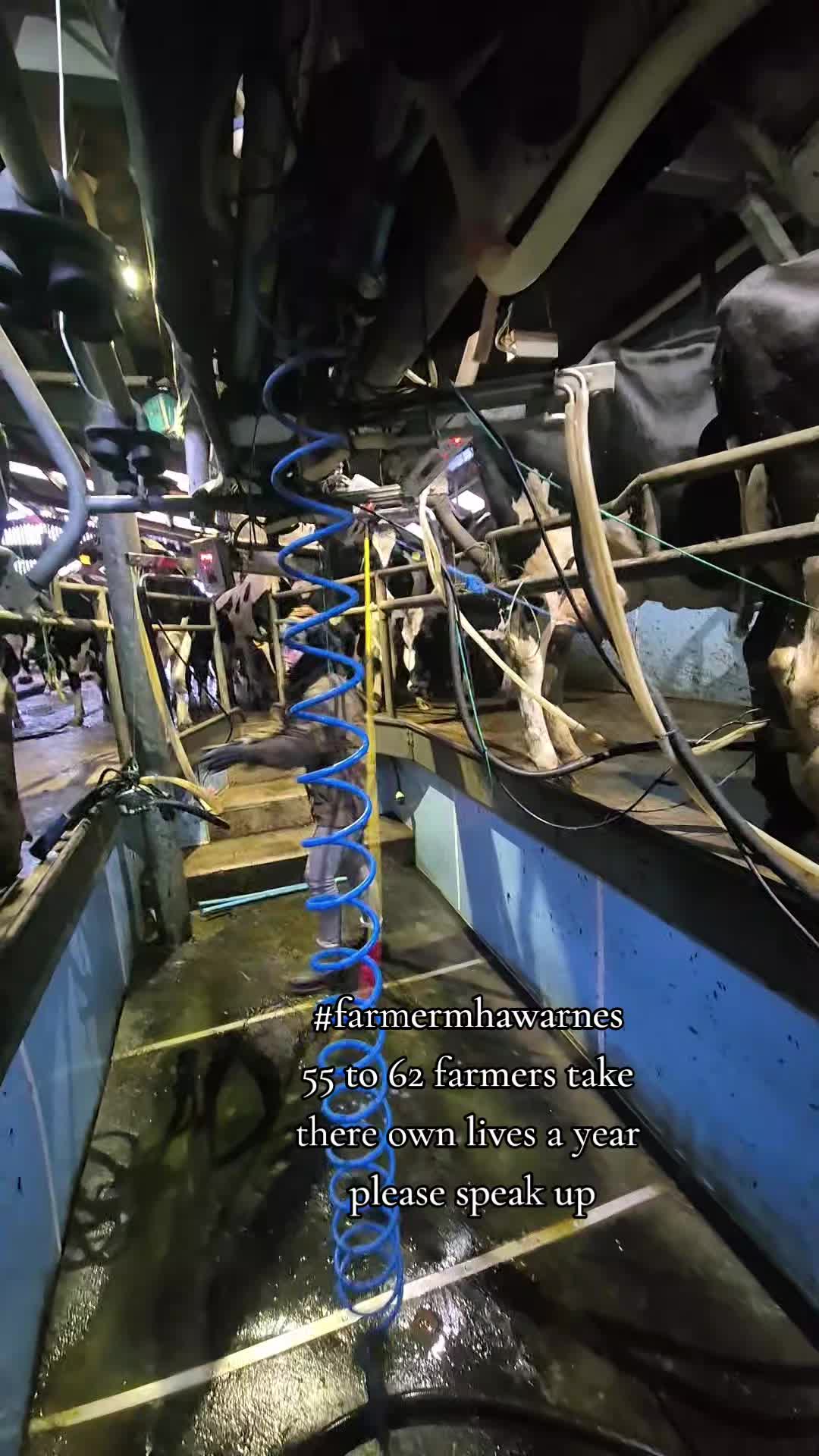 @m.scott 🐄🤠