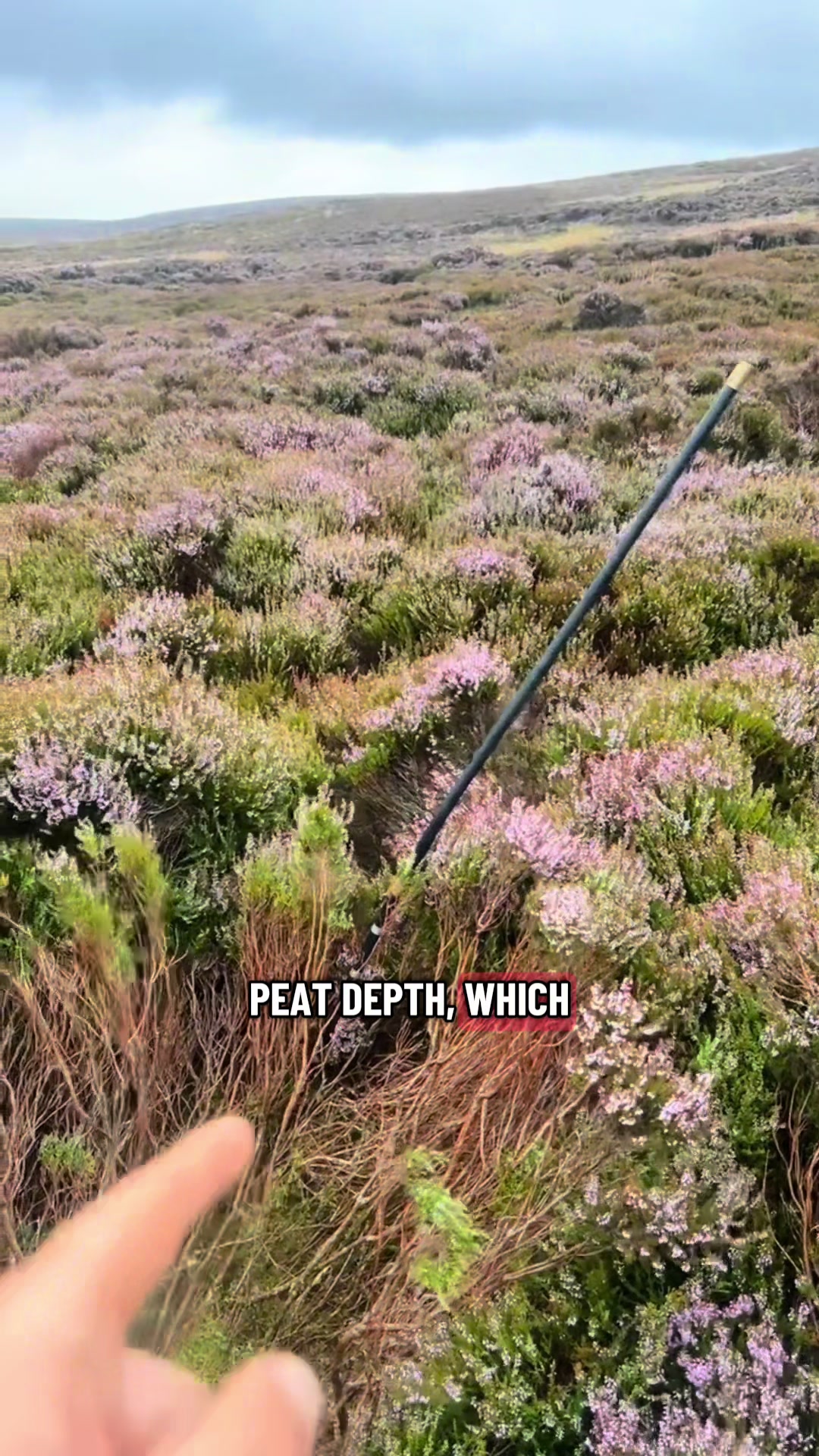 @Sam Bentley | Ecology