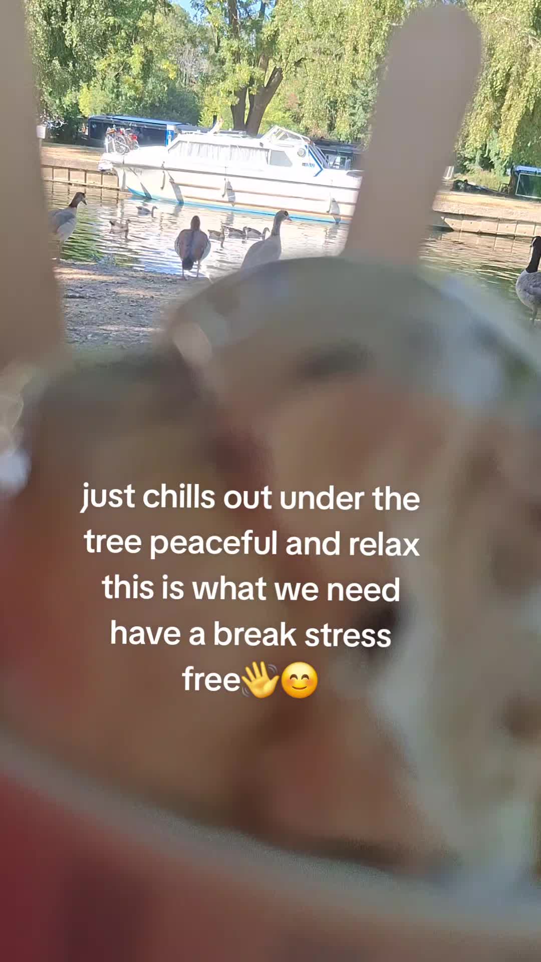 @lolagrams_05
