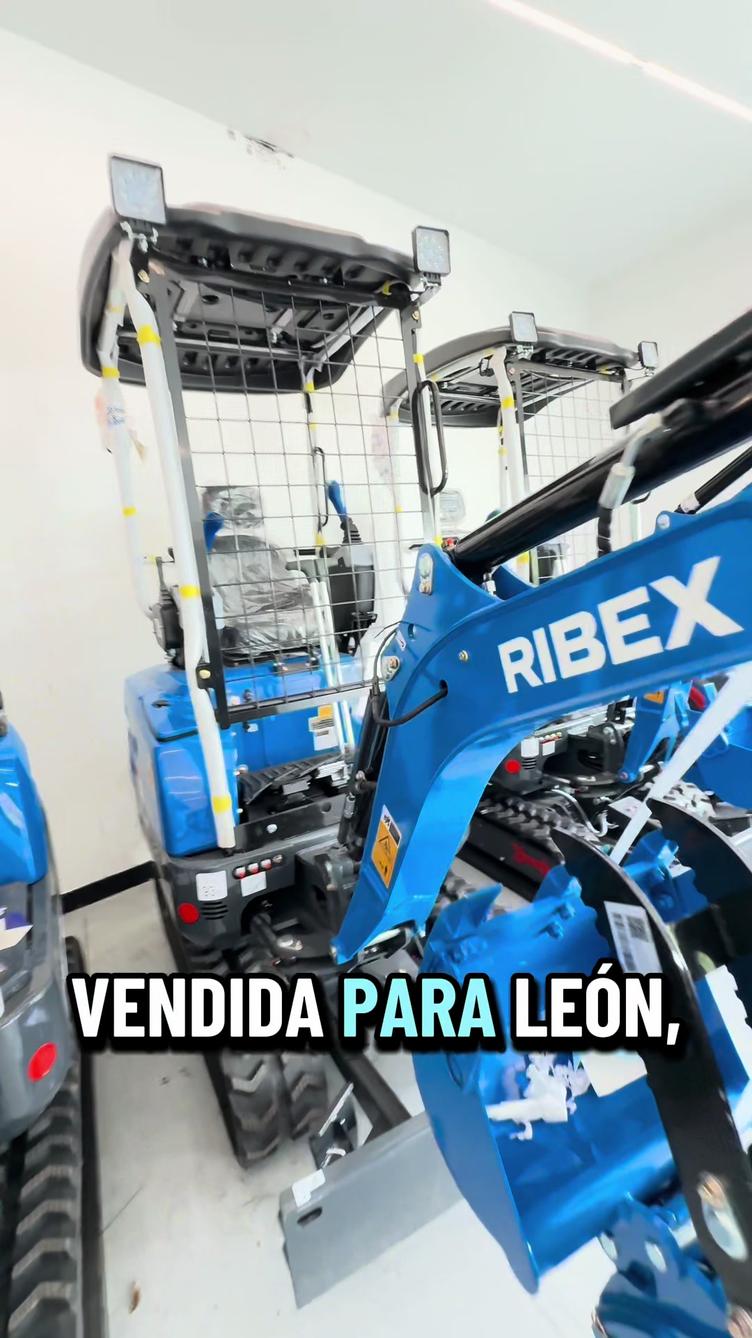 @RIBEX