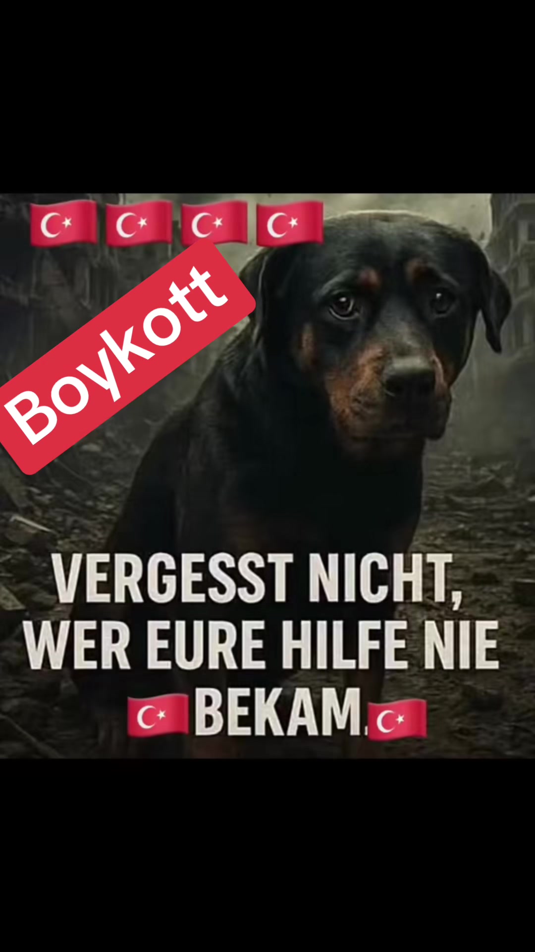 @Lua Team🐈🐕🦺Löwenherz❤️🦁