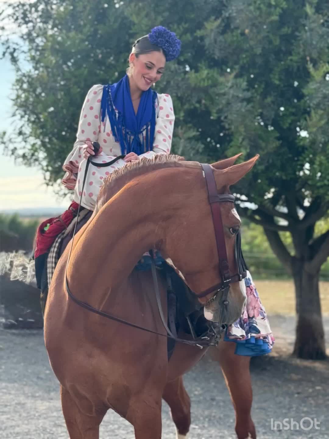 @nnoelia_rg