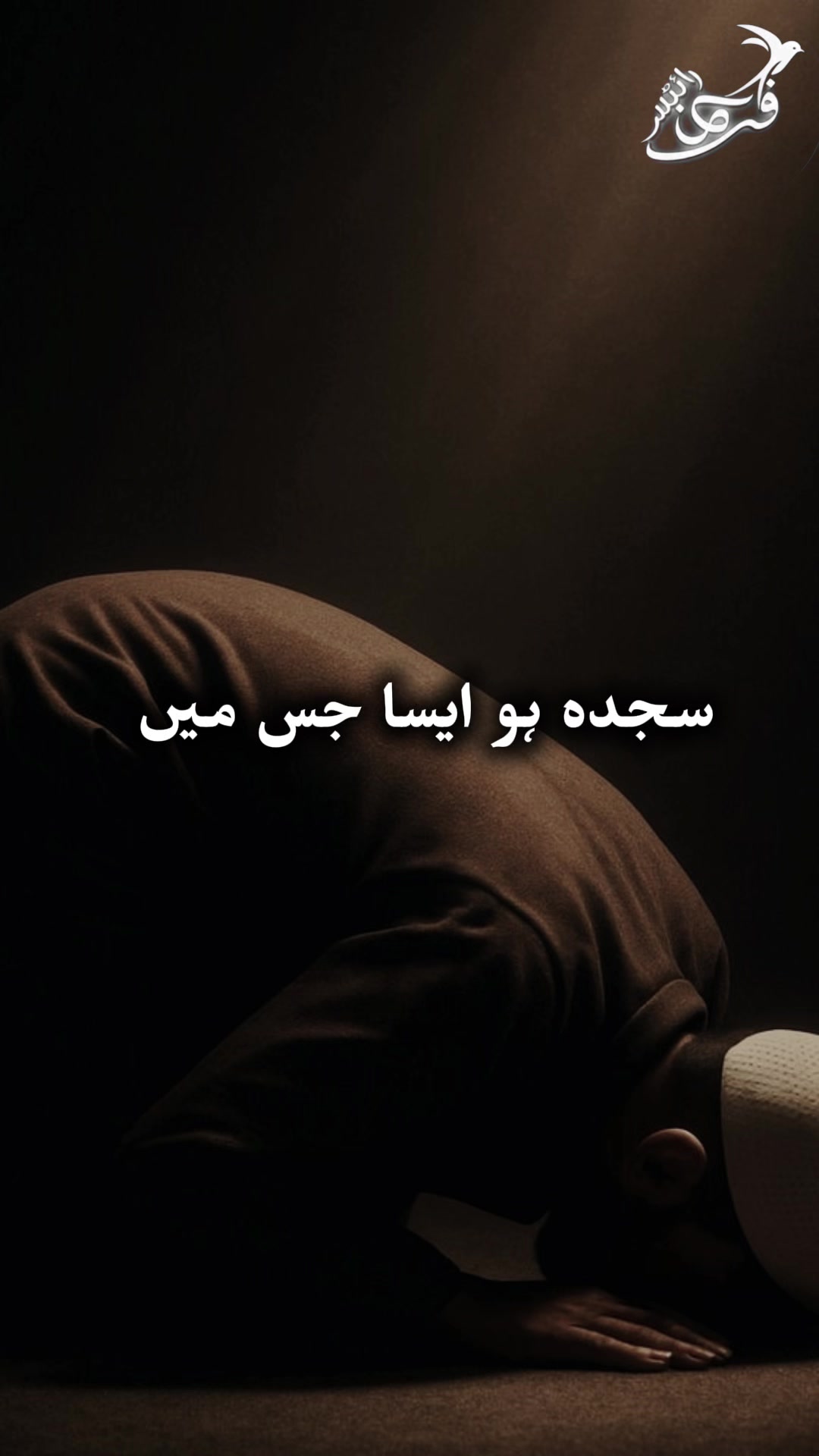 @noor