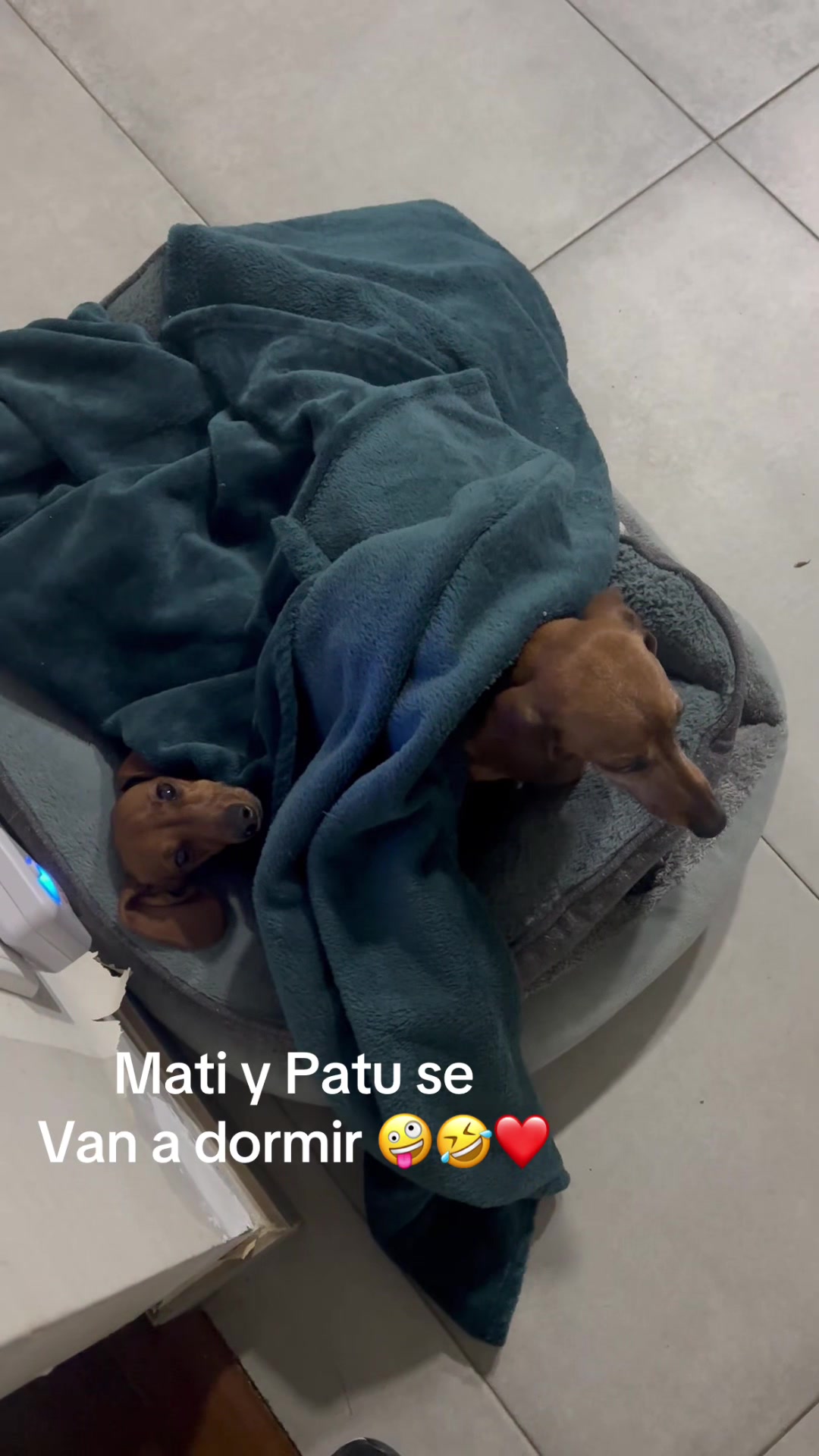 @patushiiiii