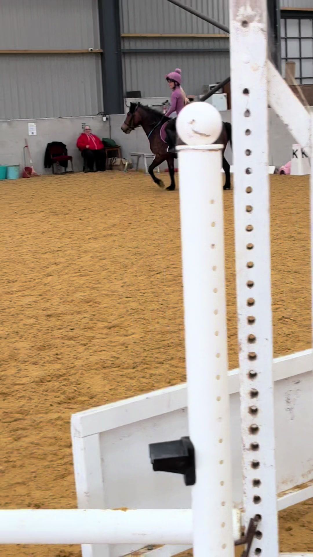 @Freya_horses