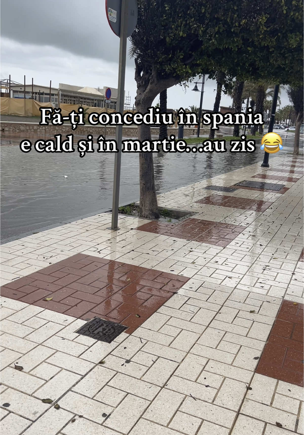 @A. ᥫ᭡