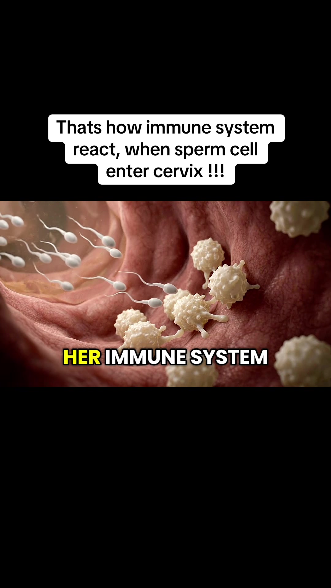 @smartdoctor