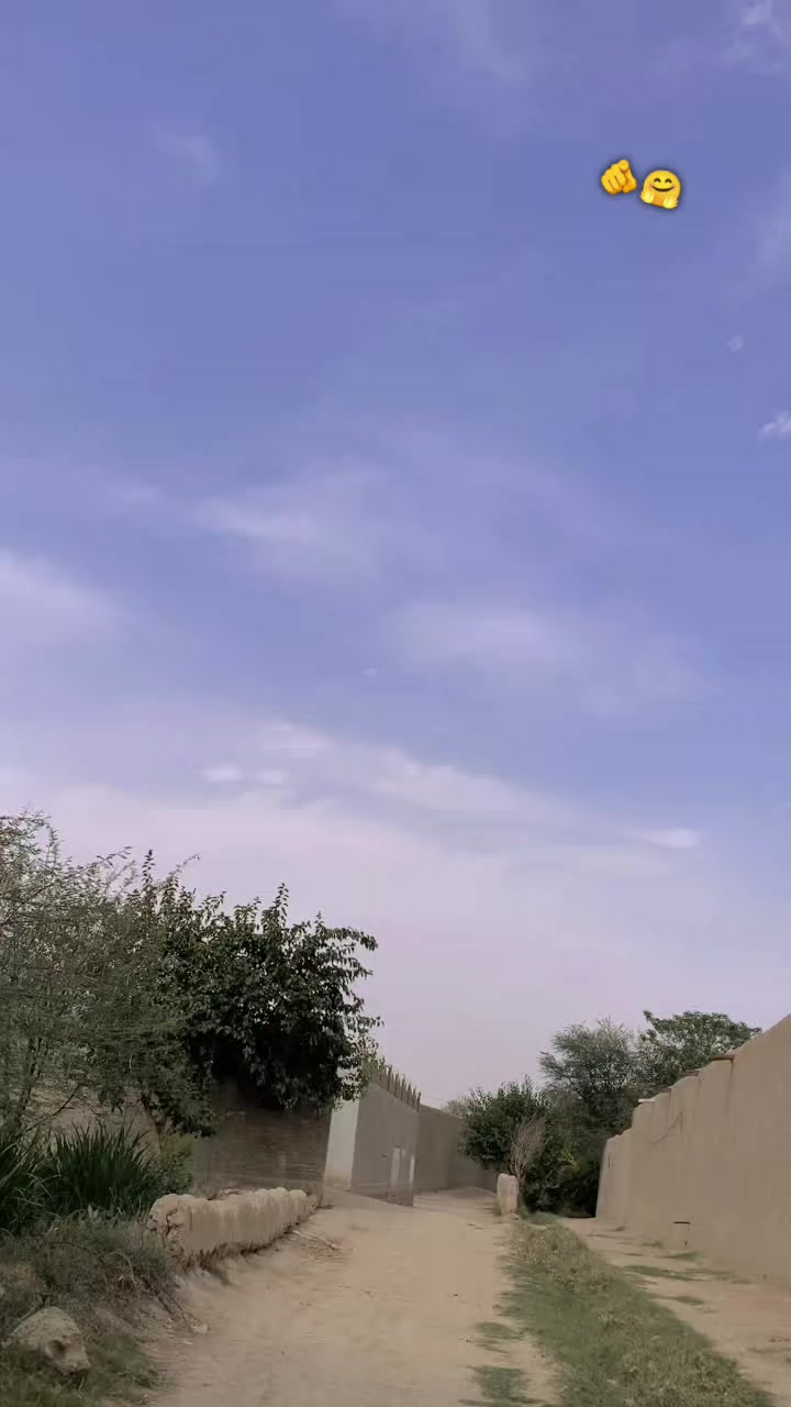 @{Miaنi🌸🤍}°^°