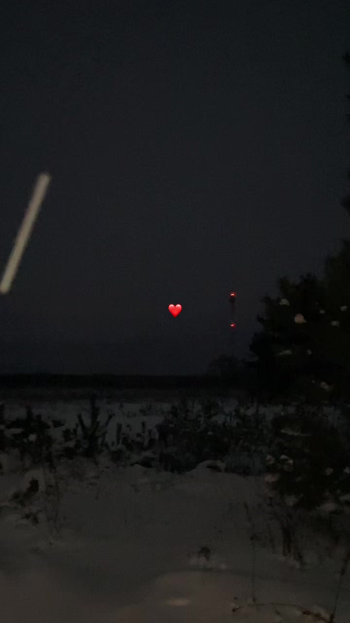 @Дикий