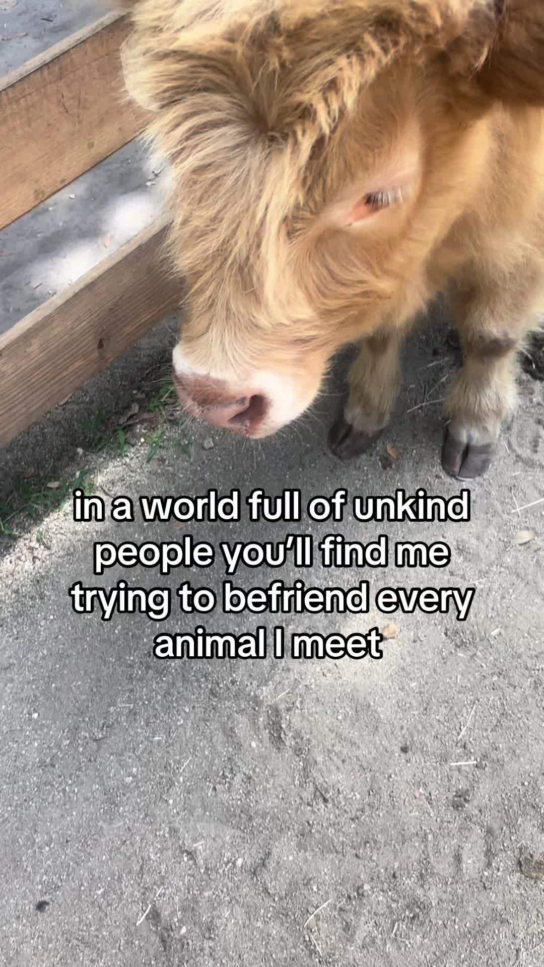 @dani🧸